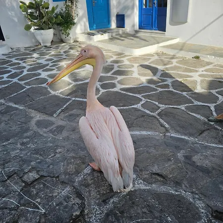 Apartamento Capparis